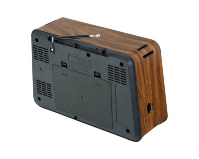 خرید رادیو اسپیکر طرح چوب بلوتوثی گولون Golon RX-BT006